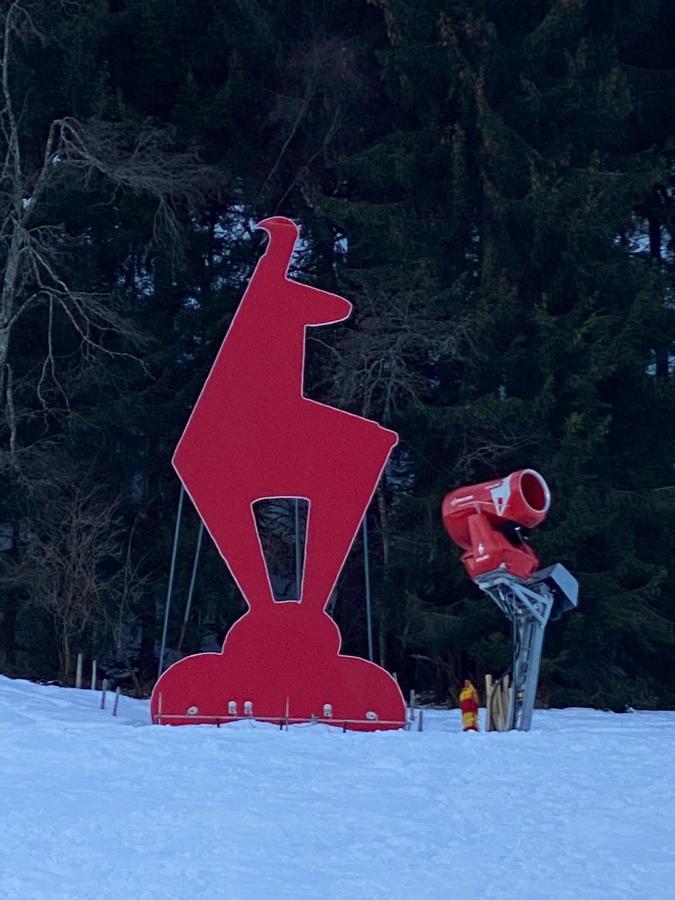 Апартаменты Tirolapart Am Lift - Jochberg Bei Kitzbuhel Экстерьер фото